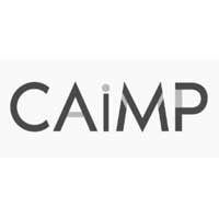 Certified AI Marketing Professionals